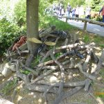 Пражский зоопарк ... или мое большое путешествие