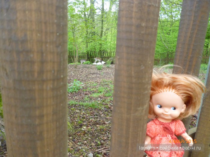 Элишка в замке Добржиш ... или мое большое путешествие