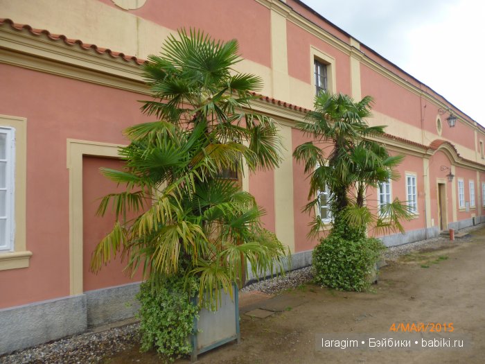 Элишка в замке Добржиш ... или мое большое путешествие