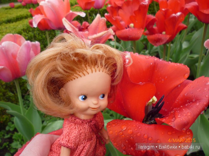 Элишка в замке Добржиш ... или мое большое путешествие