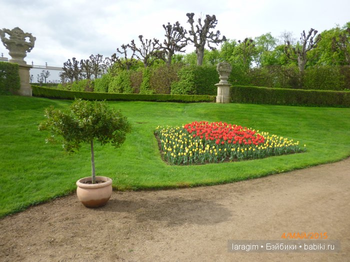 Элишка в замке Добржиш ... или мое большое путешествие