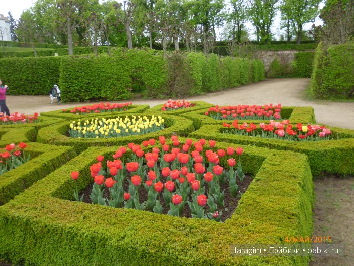 Элишка в замке Добржиш ... или мое большое путешествие