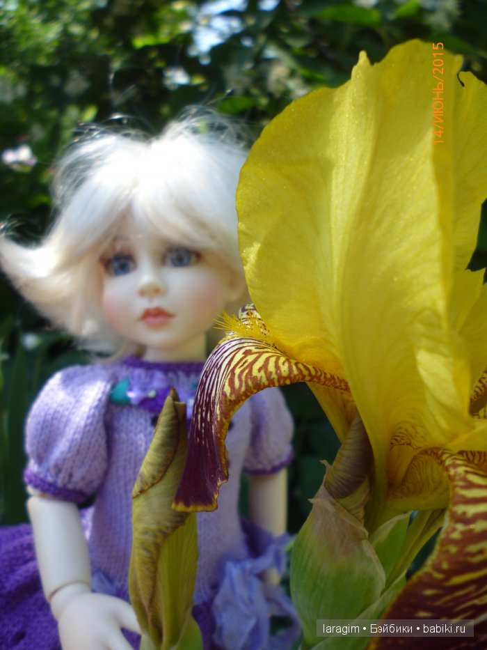 Ирис... или милая малышка от Berdine Creedy