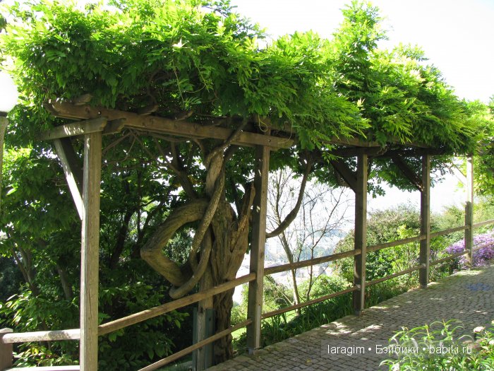 Грац ... или мое большое путешествие