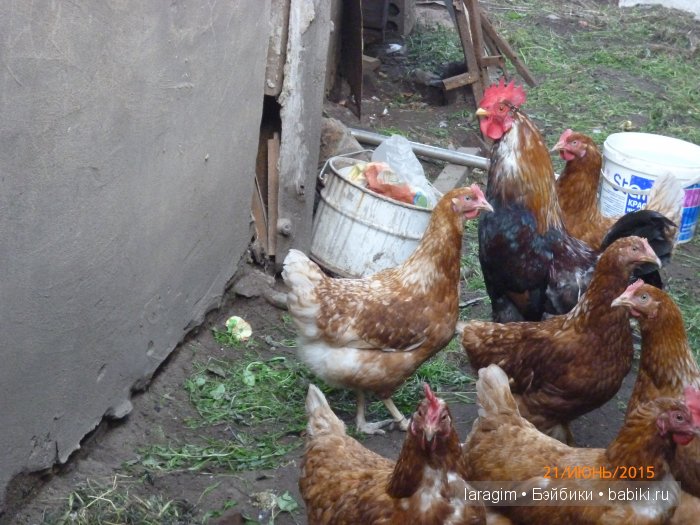 "Как-то летом на рассвете заглянул в соседний сад" или ...одежда для Wichtel от Rosemarie Müller своими руками