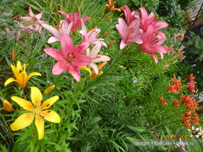 "А я в саду для Лилии" или ...одежда для Wichtel от Rosemarie Müller своими руками (фото 8)