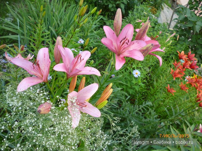 "А я в саду для Лилии" или ...одежда для Wichtel от Rosemarie Müller своими руками