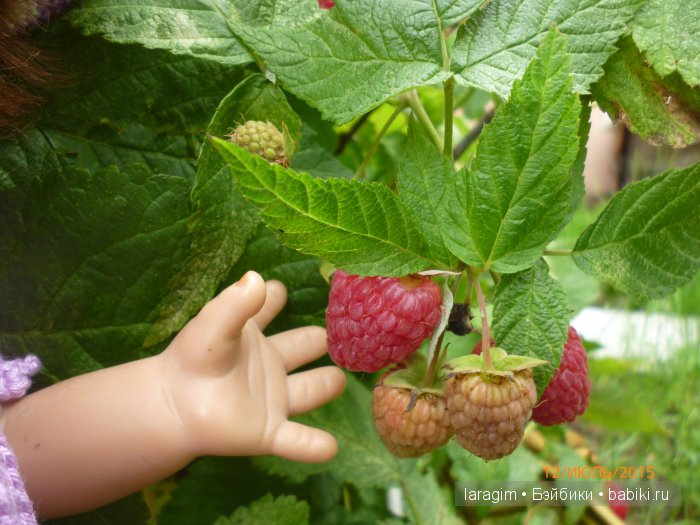 "А я в саду для Лилии" или ...одежда для Wichtel от Rosemarie Müller своими руками