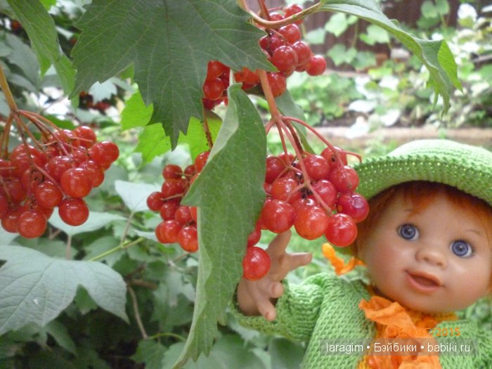 "Кокое все красивое" или ...одежда для Wichtel от Rosemarie Müller своими руками | Бэйбики "Кокое все красивое" или ...одежда для Wichtel от Rosemarie Müller своими руками