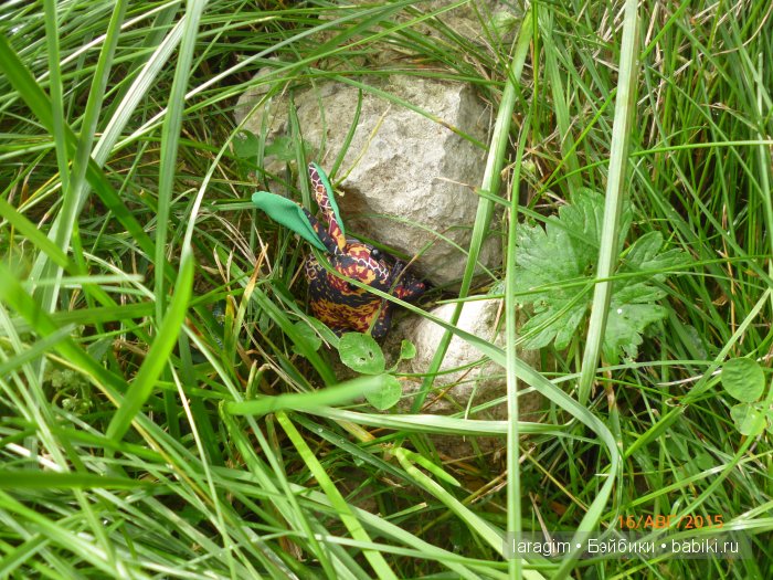 Ах, Алиса... или одежда для кукол от Zapf Creation