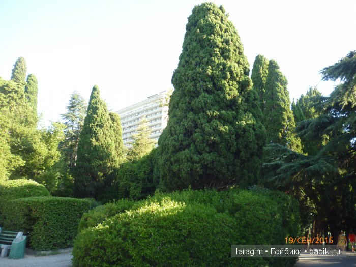 "Возвращение в лето" или... куклы Wichtel от Rosemarie Müller и отдых в Крыму | Бэйбики "Возвращение в лето" или... куклы Wichtel от Rosemarie Müller и отдых в Крыму