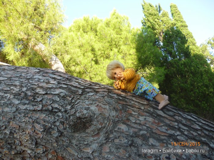 "Возвращение в лето" или... куклы Wichtel от Rosemarie Müller и отдых в Крыму | Бэйбики "Возвращение в лето" или... куклы Wichtel от Rosemarie Müller и отдых в Крыму