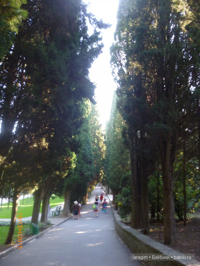 "Возвращение в лето" или... куклы Wichtel от Rosemarie Müller и отдых в Крыму | Бэйбики "Возвращение в лето" или... куклы Wichtel от Rosemarie Müller и отдых в Крыму