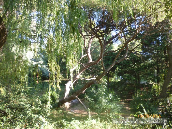 "Возвращение в лето" или... куклы Wichtel от Rosemarie Müller и отдых в Крыму | Бэйбики "Возвращение в лето" или... куклы Wichtel от Rosemarie Müller и отдых в Крыму