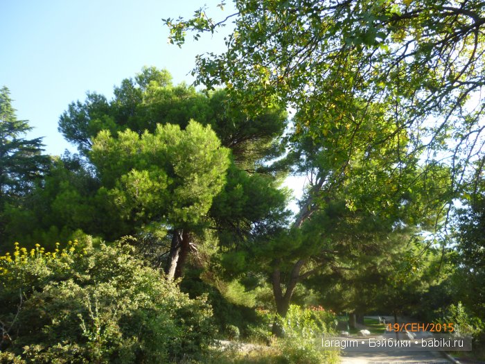 "Возвращение в лето" или... куклы Wichtel от Rosemarie Müller и отдых в Крыму | Бэйбики "Возвращение в лето" или... куклы Wichtel от Rosemarie Müller и отдых в Крыму