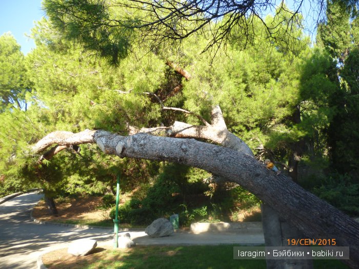 "Возвращение в лето" или... куклы Wichtel от Rosemarie Müller и отдых в Крыму | Бэйбики "Возвращение в лето" или... куклы Wichtel от Rosemarie Müller и отдых в Крыму