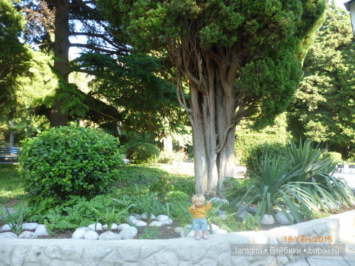 "Возвращение в лето" или... куклы Wichtel от Rosemarie Müller и отдых в Крыму | Бэйбики "Возвращение в лето" или... куклы Wichtel от Rosemarie Müller и отдых в Крыму