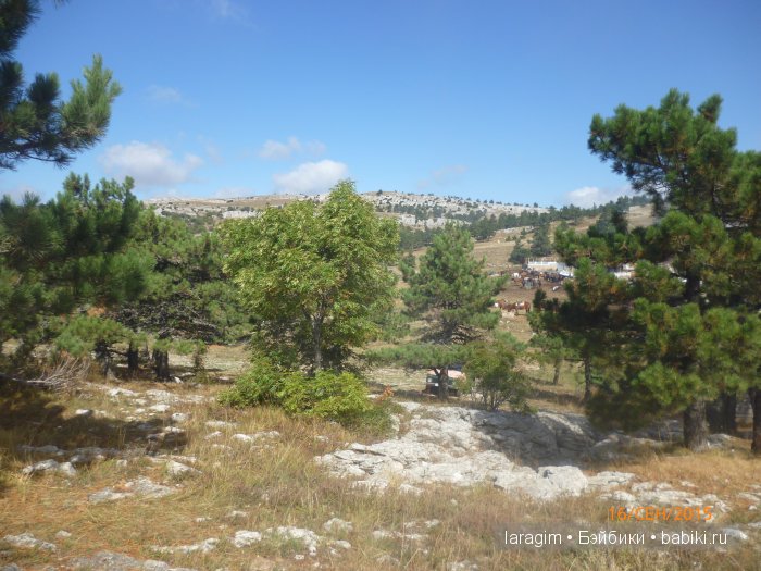 "Лучше гор могут быть только горы " ... или путешествие по Крыму