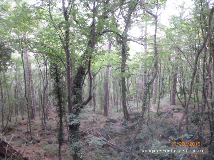 "Лучше гор могут быть только горы " ... или путешествие по Крыму