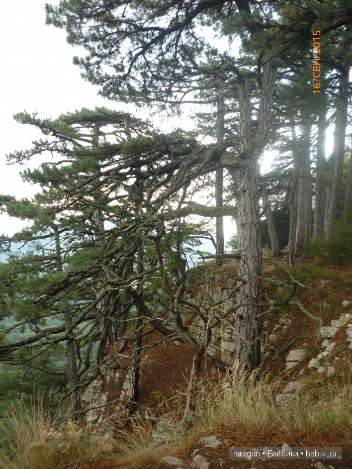 "Лучше гор могут быть только горы " ... или путешествие по Крыму