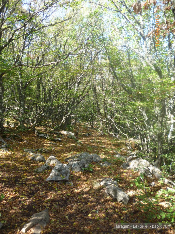 "Лучше гор могут быть только горы " ... или путешествие по Крыму