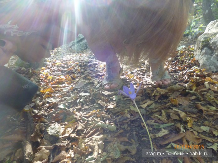 "Лучше гор могут быть только горы " ... или путешествие по Крыму