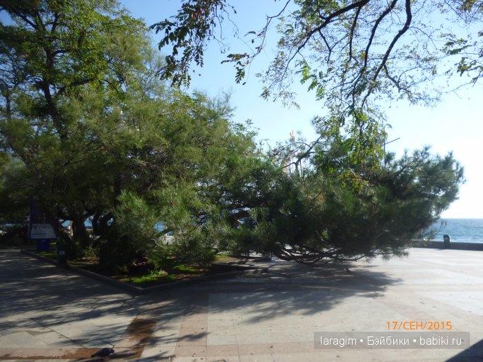 "Ялта, Ласточкино Гнездо" ... или путешествие по Крыму (фото 9)