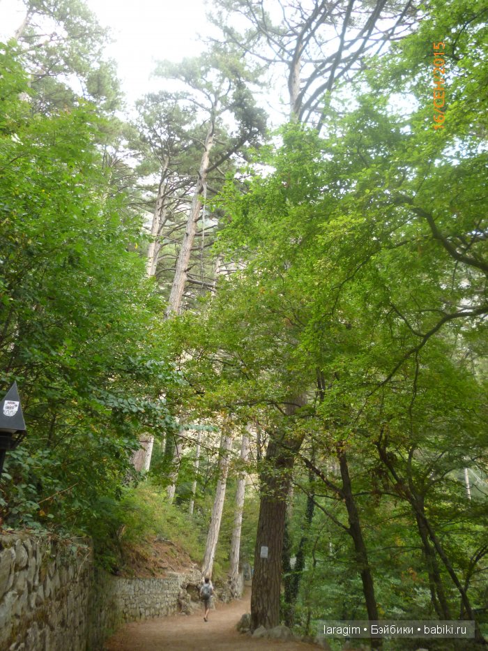 "Лучше гор могут быть только горы " ... или путешествие по Крыму (фото 2)