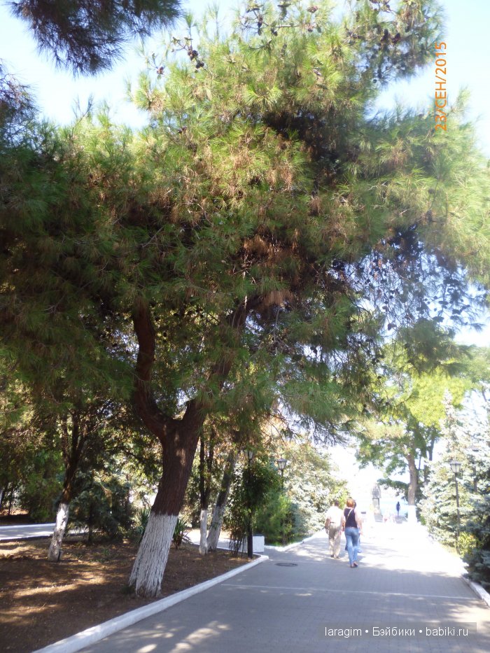 "Легендарный Севастополь"... или путешествие по Крыму