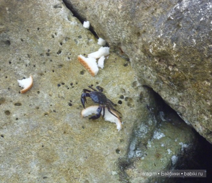 "Легендарный Севастополь"... или путешествие по Крыму