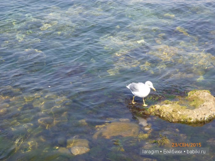 "Легендарный Севастополь"... или путешествие по Крыму