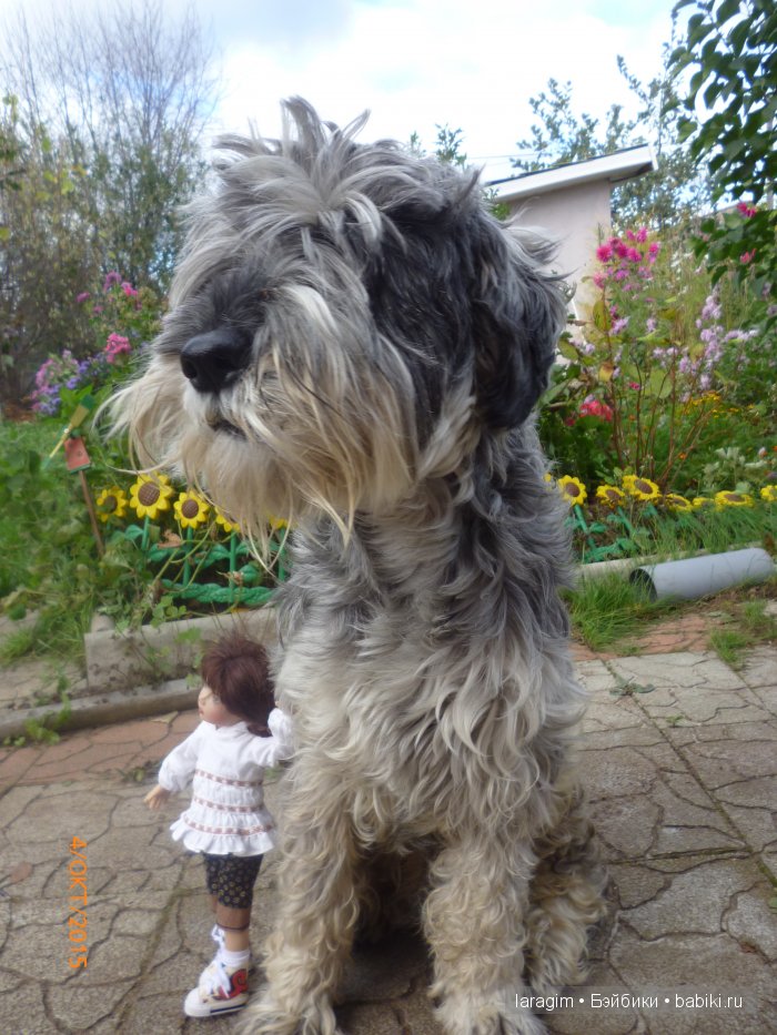 "Ты- мой новый герой" или ... как не принять участие в конкурсе | Бэйбики "Ты- мой новый герой" или ... как не принять участие в конкурсе (фото 4)