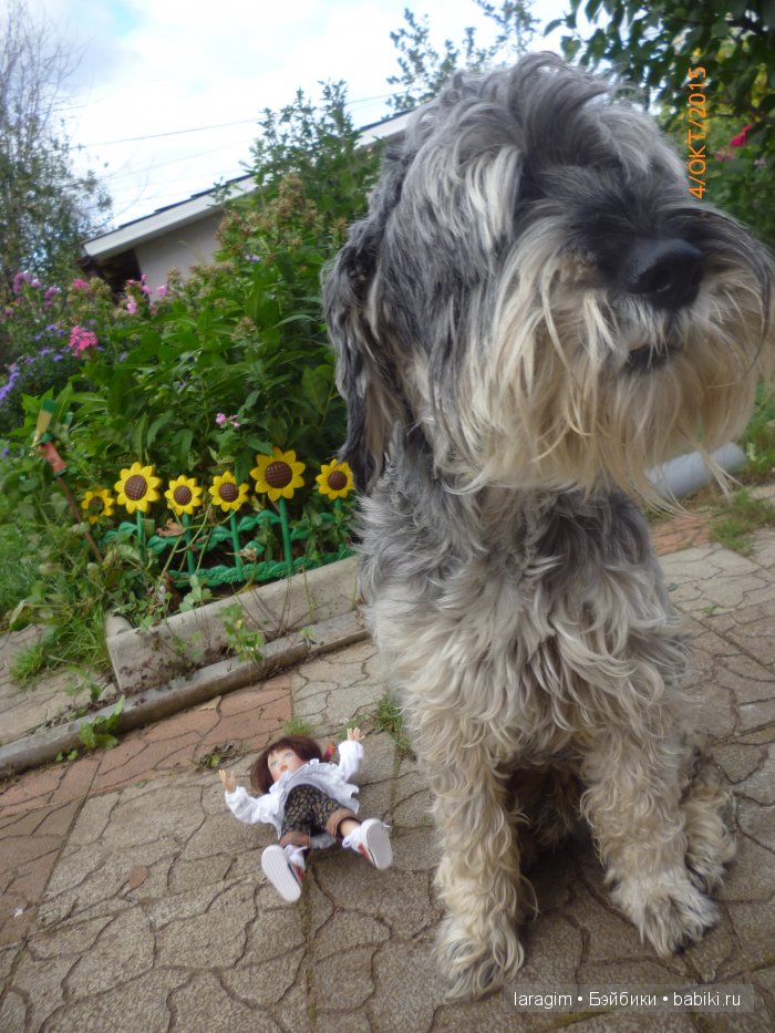 "Ты- мой новый герой" или ... как не принять участие в конкурсе | Бэйбики "Ты- мой новый герой" или ... как не принять участие в конкурсе (фото 2)