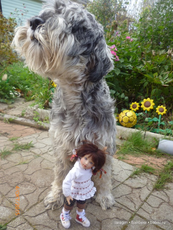 "Ты- мой новый герой" или ... как не принять участие в конкурсе | Бэйбики "Ты- мой новый герой" или ... как не принять участие в конкурсе (фото 7)