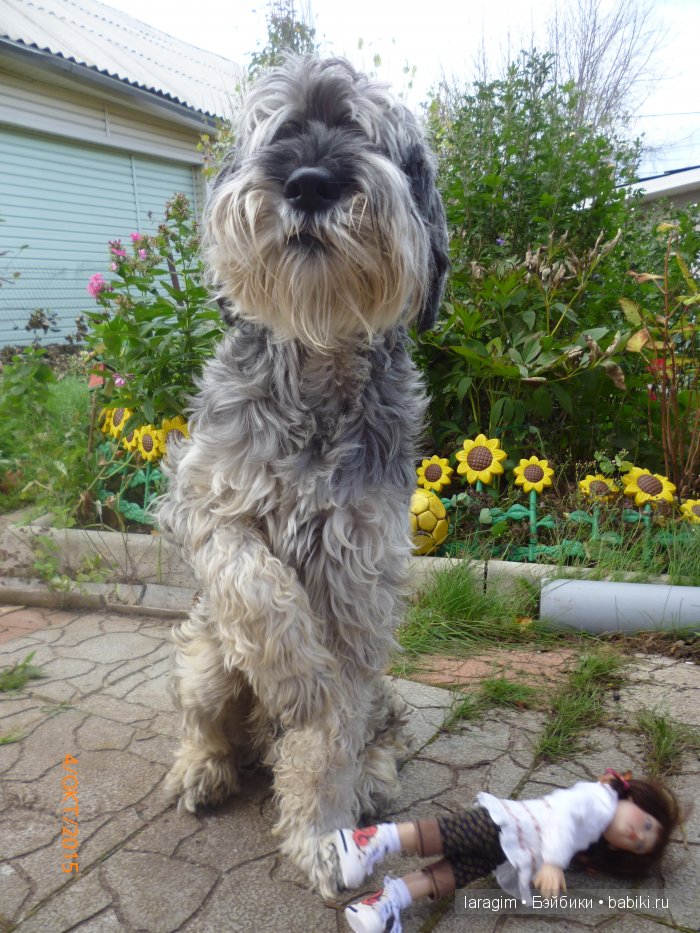 "Ты- мой новый герой" или ... как не принять участие в конкурсе | Бэйбики "Ты- мой новый герой" или ... как не принять участие в конкурсе (фото 10)