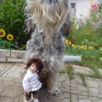 "Ты- мой новый герой" или ... как не принять участие в конкурсе.