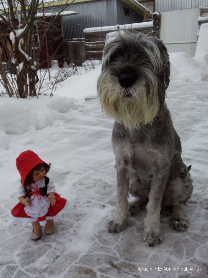 "По следам Красной Шапочки" или ... одежда для кукол Wichtel от Rosemarie Müller