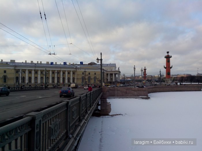 "А не пойти ли нам в Зоологический музей?"