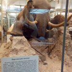 "А не пойти ли нам в Зоологический музей?"