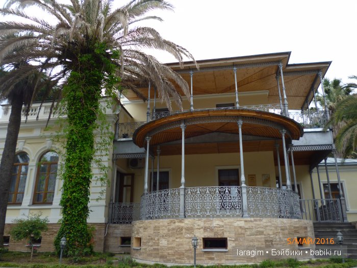 "В краю магнолий плещет море..." Дендрарий в Сочи. Верхняя площадка (фото 3)