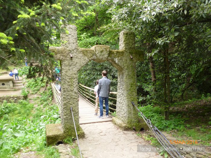 "В краю магнолий плещет море..." Дендрарий в Сочи. Верхняя площадка