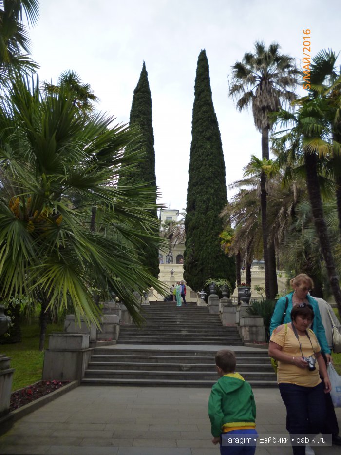 "В краю магнолий плещет море..." Дендрарий в Сочи. Верхняя и нижняя площадки (фото 8)