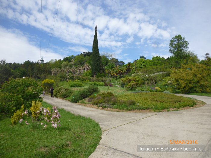 "В краю магнолий плещет море..." Дендрарий в Сочи. Верхняя площадка