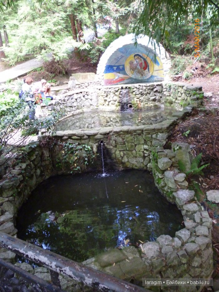 "В краю магнолий плещет море..." Дендрарий в Сочи. Верхняя и нижняя площадки