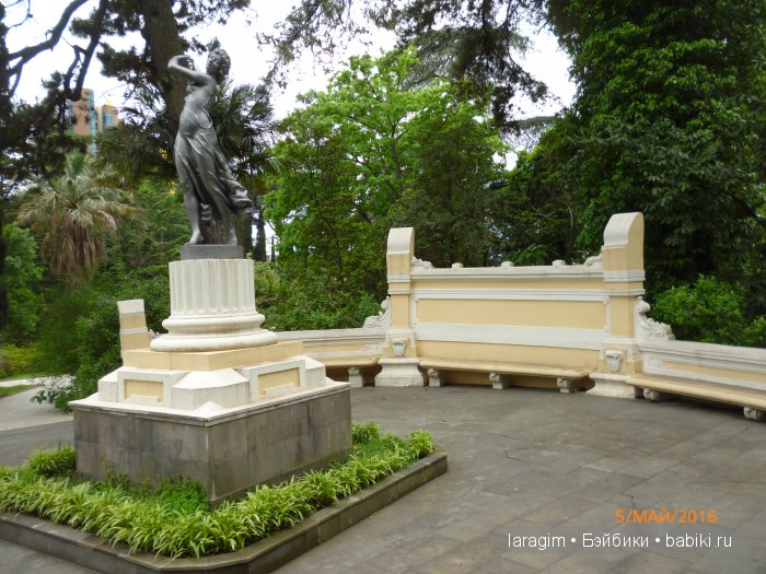 "В краю магнолий плещет море..." Дендрарий в Сочи. Верхняя и нижняя площадки (фото 3)