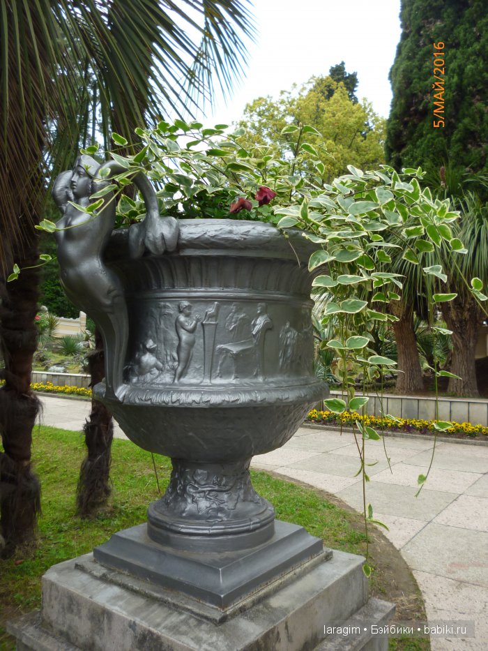 "В краю магнолий плещет море..." Дендрарий в Сочи. Верхняя и нижняя площадки (фото 7)