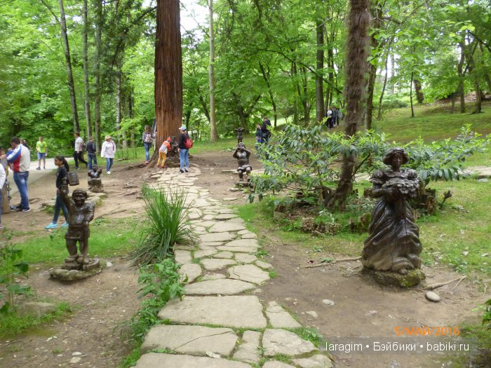 "В краю магнолий плещет море..." Дендрарий в Сочи. Верхняя и нижняя площадки