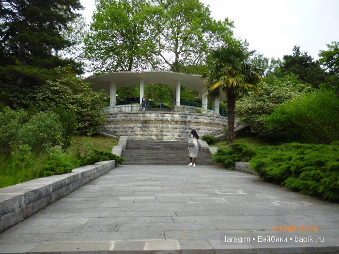 "В краю магнолий плещет море..." Дендрарий в Сочи. Верхняя и нижняя площадки