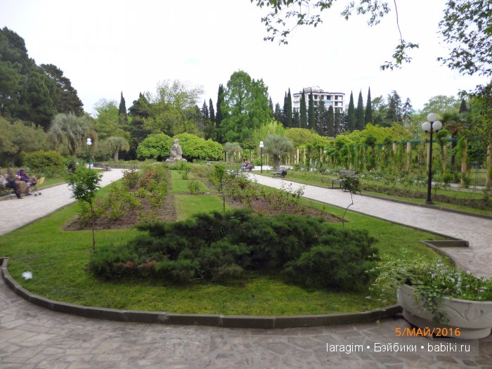 "В краю магнолий плещет море..." Дендрарий в Сочи. Верхняя и нижняя площадки