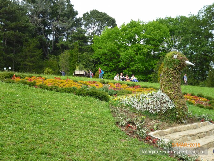 "В краю магнолий плещет море..." Дендрарий в Сочи. Верхняя площадка